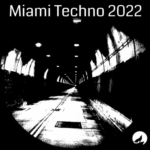 Techno Killer - Miami Techno 2022 (2022)