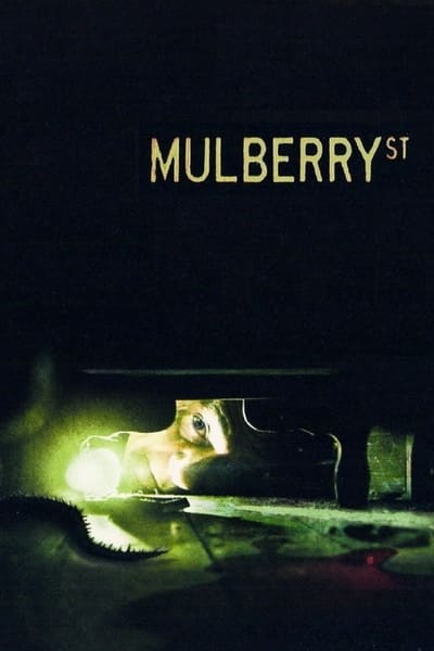 Mulberry St (2006) [1080p] [WEBRip] [5.1]