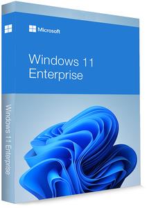Windows 11 Enterprise 21H2 Build 22000.593 x64 (No TPM Required) Multilingual Preactivated