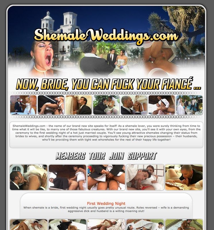 ShemaleWeddings - MegaPack [65 Videos] - 720p/480p Watch 2022