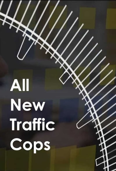 All New Traffic Cops S11E09 1080p HEVC x265-[MeGusta]