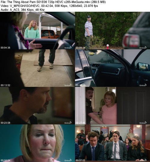 The Thing About Pam S01E06 720p HEVC x265-[MeGusta]