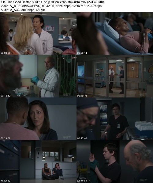 The Good Doctor S05E14 720p HEVC x265-[MeGusta]