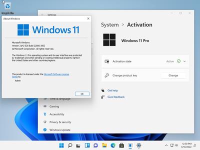 Windows 10 Pro 22H2 Build for apple instal