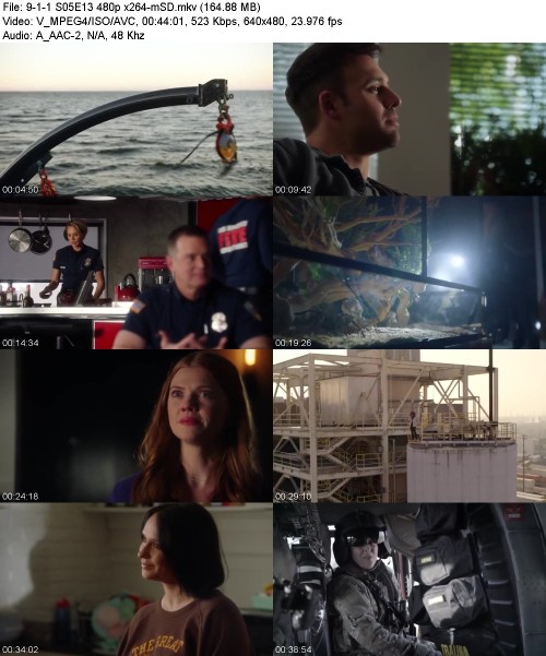 9-1-1 S05E13 480p x264-[mSD]