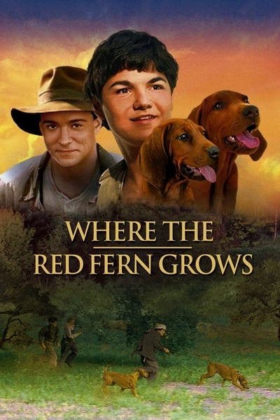 Where The Red Fern Grows (2003) [720p] [BluRay]
