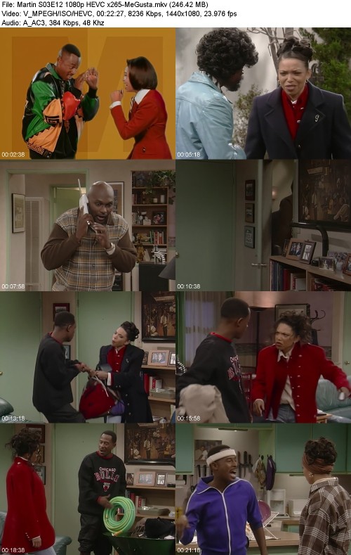 Martin S03E12 1080p HEVC x265-[MeGusta]