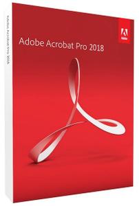 Adobe Acrobat Pro DC 2022.001.20117 Multilingual