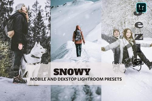 Snowy Lightroom Presets Dekstop and Mobile