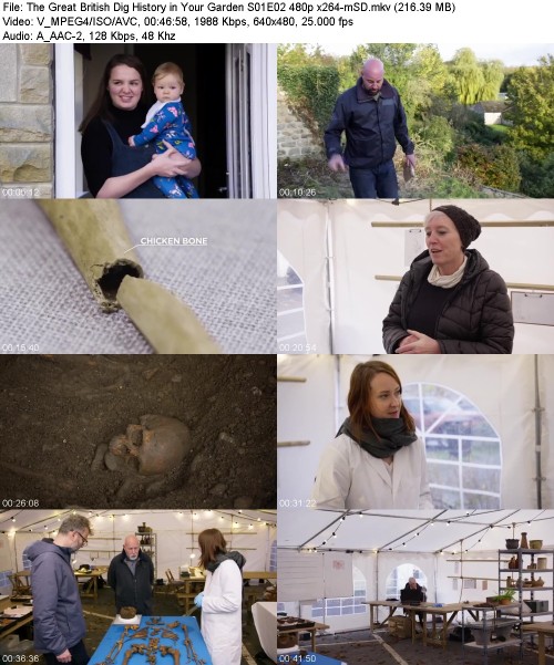 The Great British Dig History in Your Garden S01E02 480p x264-[mSD]