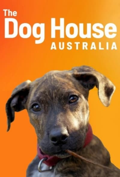 The Dog House AU S02E07 1080p HEVC x265-[MeGusta]