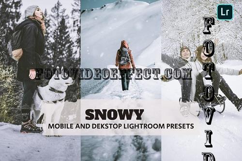 Snowy Lightroom Presets Dekstop and Mobile