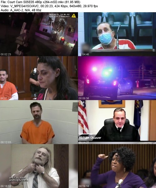 Court Cam S05E05 480p x264-[mSD]