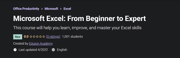 Microsoft Excel From Beginner to Expert (2022)
