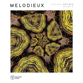 VA - Melodieux Vol 1 (2022) (MP3)