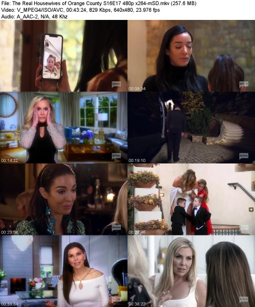The Real Housewives of Orange County S16E17 480p x264-[mSD]