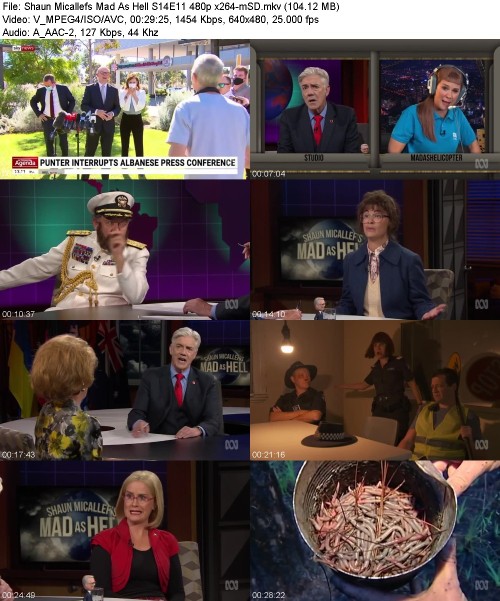 Shaun Micallefs Mad As Hell S14E11 480p x264-[mSD]
