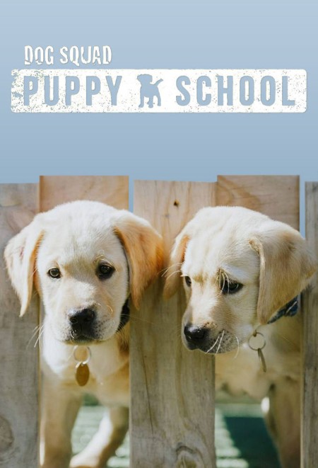 Dog Squad Puppy School S03E08 480p x264-[mSD]