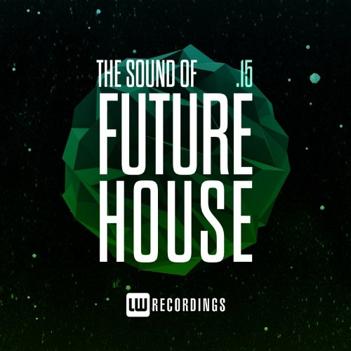 The Sound Of Future House, Vol. 15 (2022)