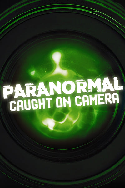 Paranormal Caught on Camera S05E03 GoPro Captures Bigfoot in Ontario and More 720p HEVC x265-[MeG...