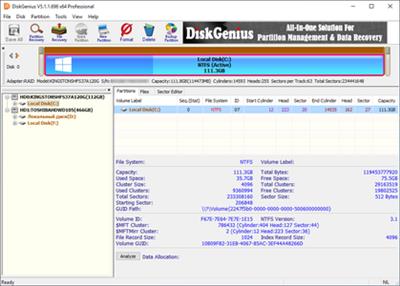 DiskGenius Professional 5.4.3.1342 + Portable