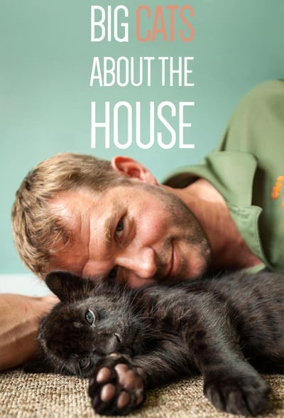 Big Cats about the House S01 1080p iP WEBRip AAC2 0 x264 playWEB