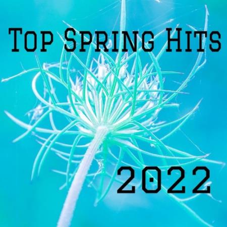 Top Spring Hits 2022 (2022)