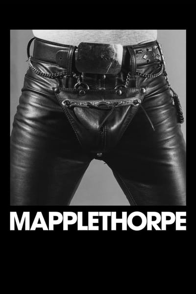 Mapplethorpe The Directors Cut (2020) [1080p] [WEBRip]