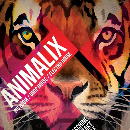 8Dio Animalix Vol.1 KONTAKT