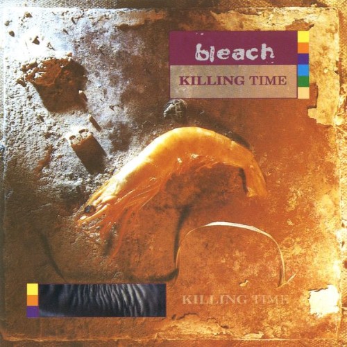 Bleach - Killing Time (2008) [16B-44 1kHz]