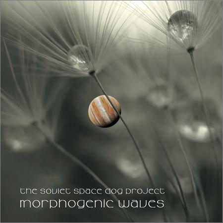 The Soviet Space Dog Project - Morphogenic Waves (04.02.2022)