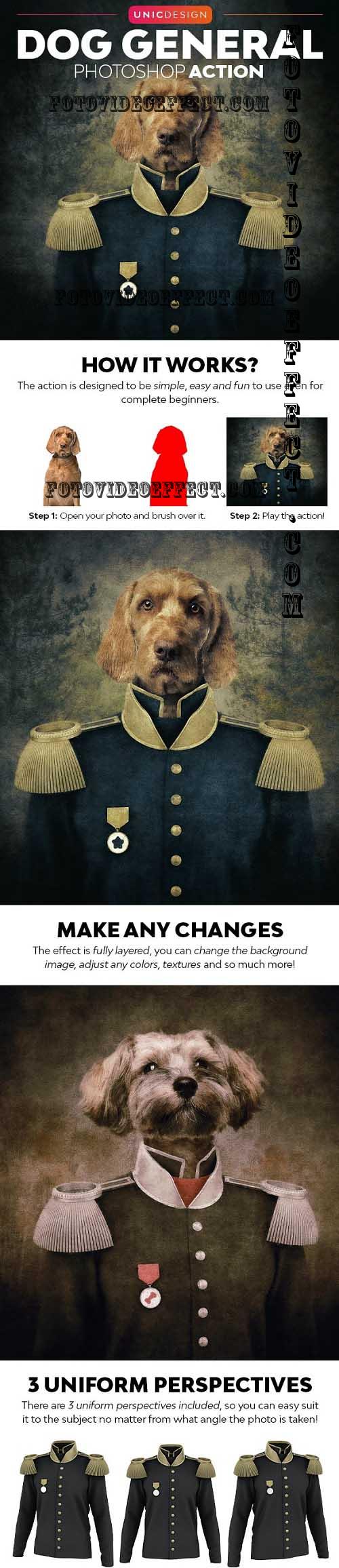 Dog General Photoshop Action - 37233493