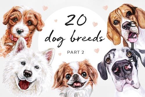PART 2. Watercolor illustration set DOG breeds. Cute 20 dogs - 535399