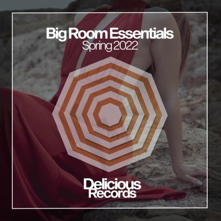 VA | Big Room Essentials 2022 (2022) MP3