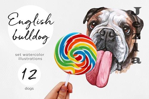 English bulldog. Big watercolor set 12 dog illustrations - 537117