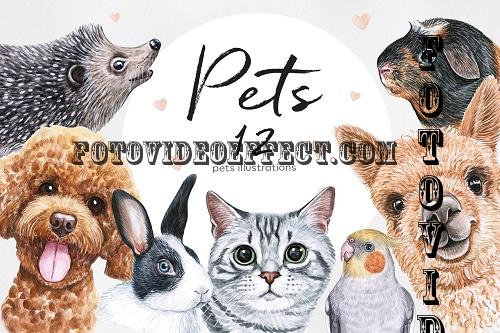 Watercolor set PET illustrations. Cute 12 pets - 722123