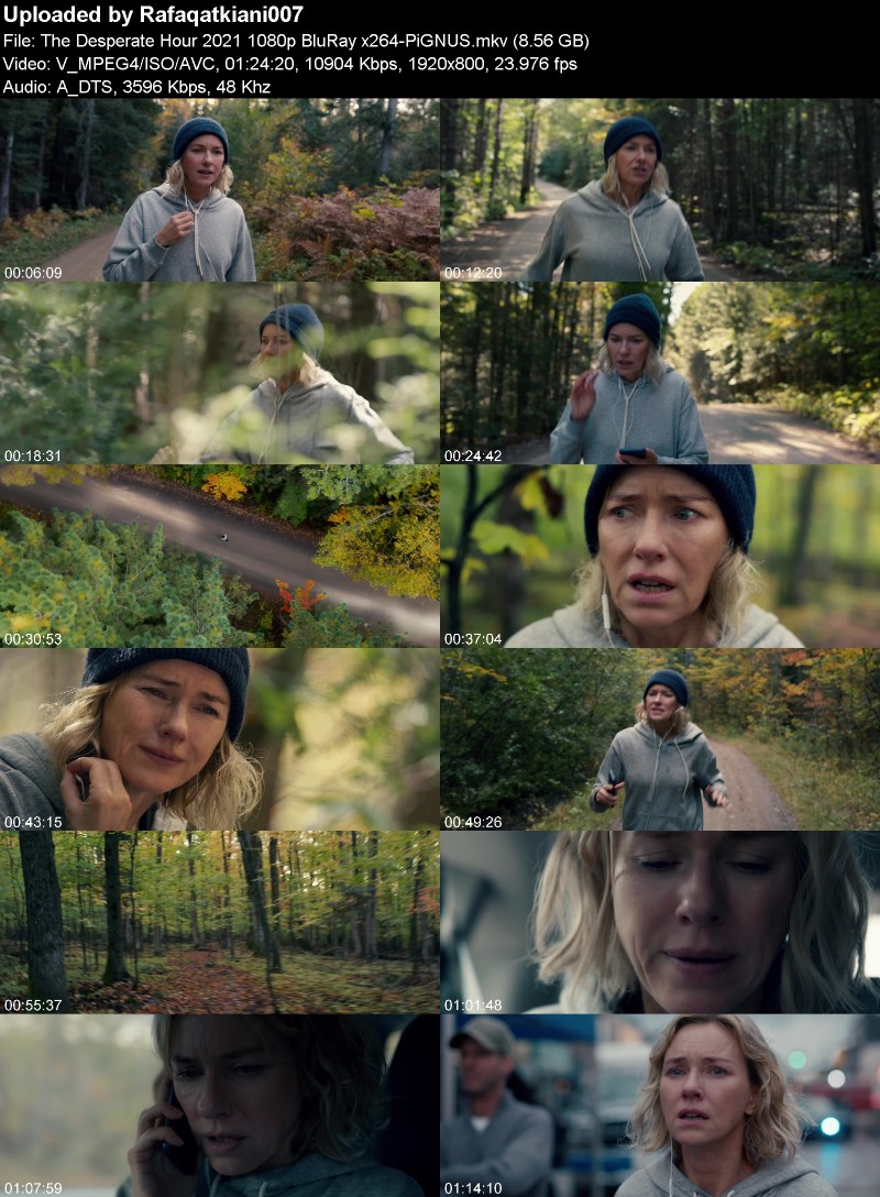 The Desperate Hour 2021 1080p BluRay x264-PiGNUS The Desperate Hour 2021 1080p BluRay x264-PiGNUS