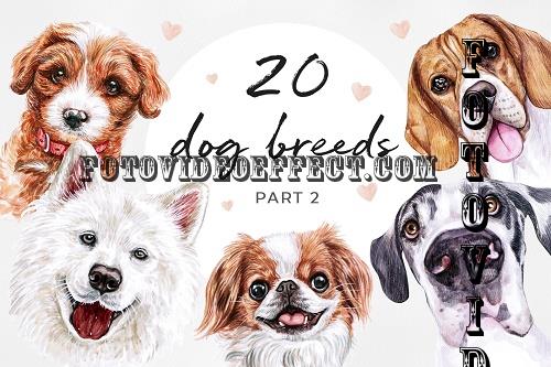 PART 2. Watercolor illustration set DOG breeds. Cute 20 dogs - 535399