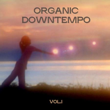 Organic Downtempo, Vol. 1 (2022)