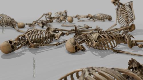 Modular Human Skeleton v4.27 for Unreal Engine