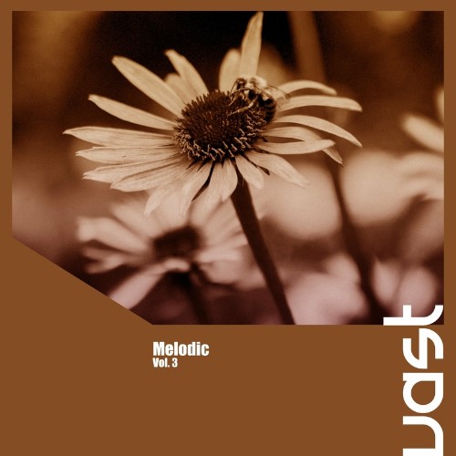 Melodic, Vol. 3 (2022)