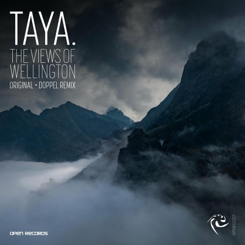 TAYA. - The Views Of Wellington (2022)