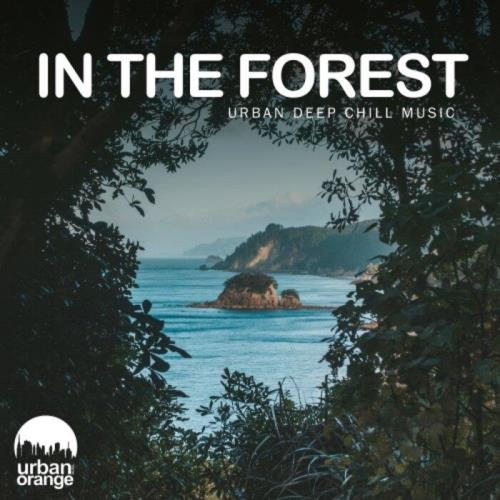 VA - In the Forest: Urban Deep Chill Music (2022) (MP3)