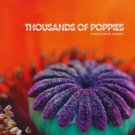 Thousands of Poppies - Musical Seeds Supplier (2022)