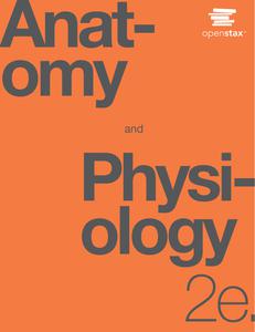 Anatomy and Physiology, 2nd Edition (True PDF)