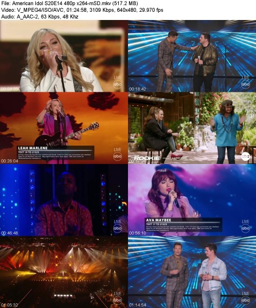 American Idol S20E14 480p x264-[mSD]