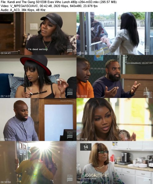 Kandi and The Gang S01E08 Exes Who Lunch 480p x264-[mSD]