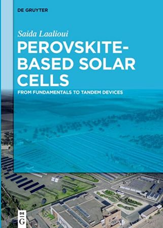 Perovskite Based Solar Cells: From Fundamentals to Tandem Devices