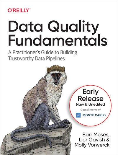 Data Quality Fundamentals (Third Early Release)