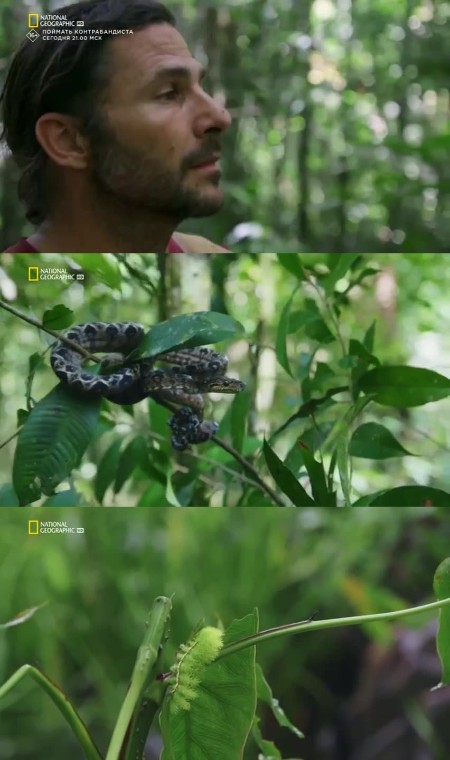 Primal Survivor Escape The Amazon S06E01 480p x264-[mSD]